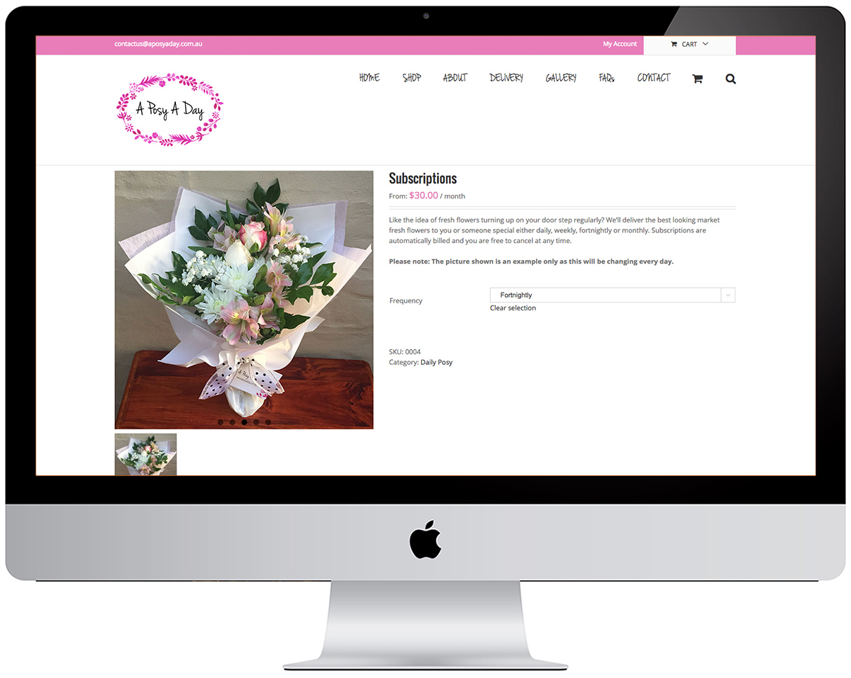 ecommerce Website Design Brisbane