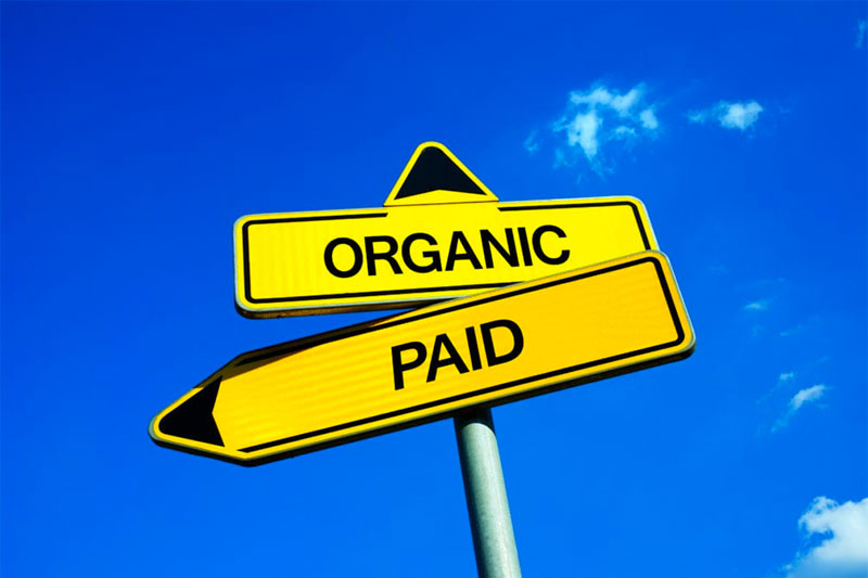 what is better - organic on-page seo or google ads