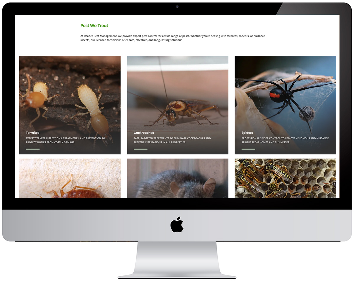 RM3 - brisbane north website design portfolio item